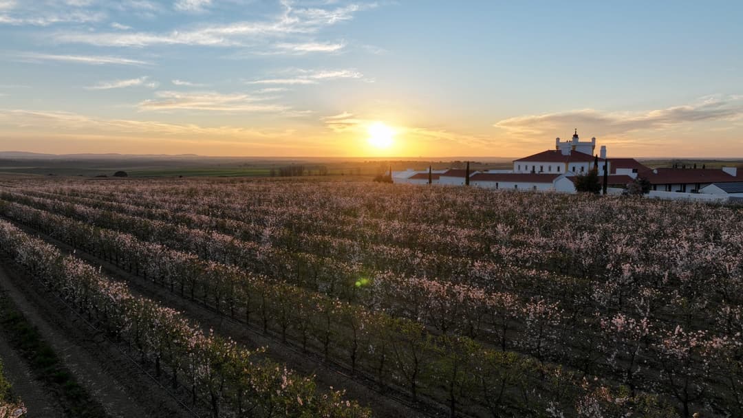 Voyages & Journeys: ontdek het echte Portugal