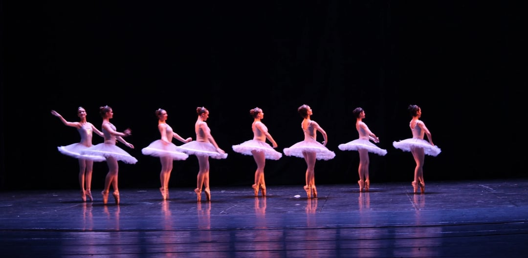 Van Carré tot Nationale Opera & Ballet: vijf voorstellingen voor het najaar