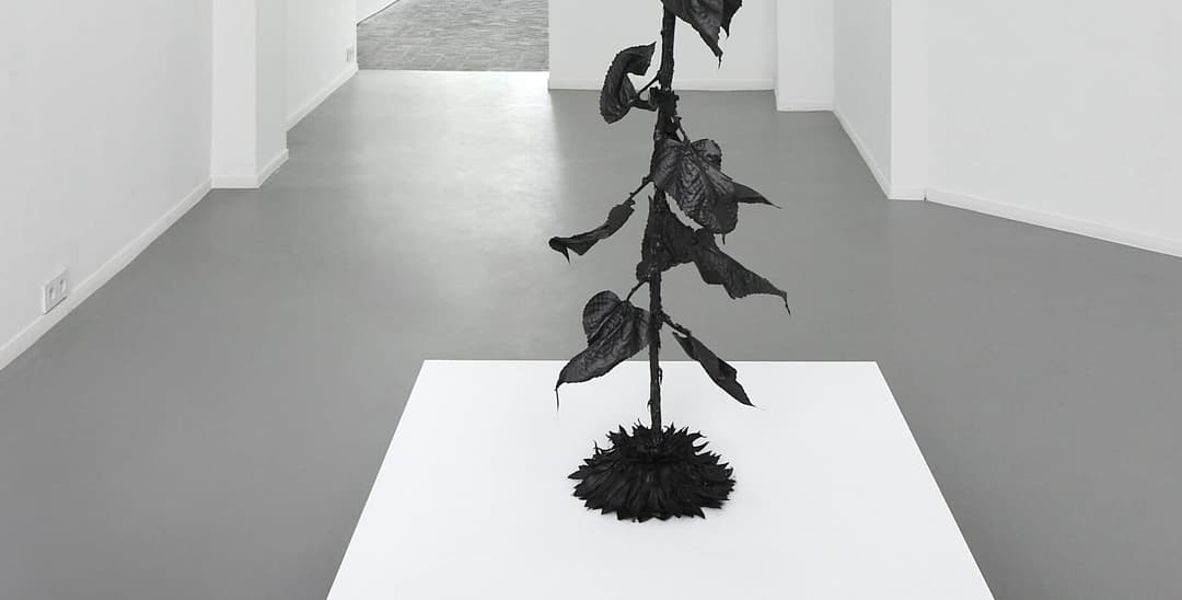 VERNIEUWENDE GALERIE: VALERIE TRAAN